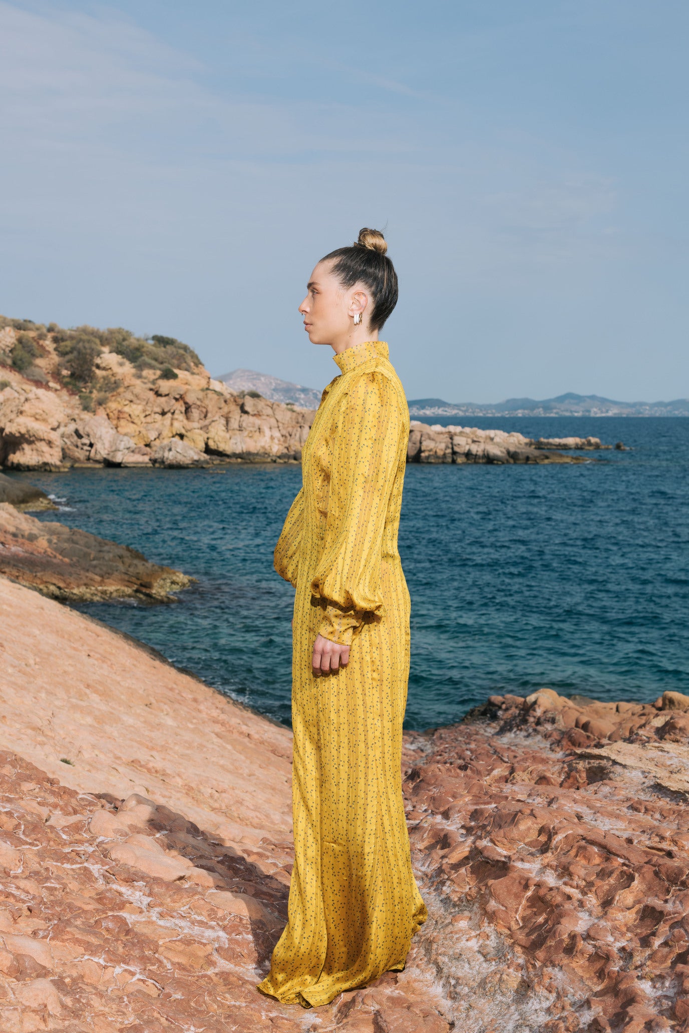 Shanaya Dress